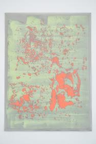 SHF 38 (impact 5) salmon on lime green